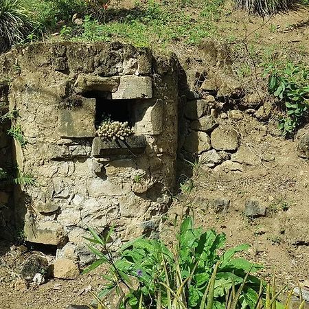 Le Pitaya Villa Baillif Luaran gambar