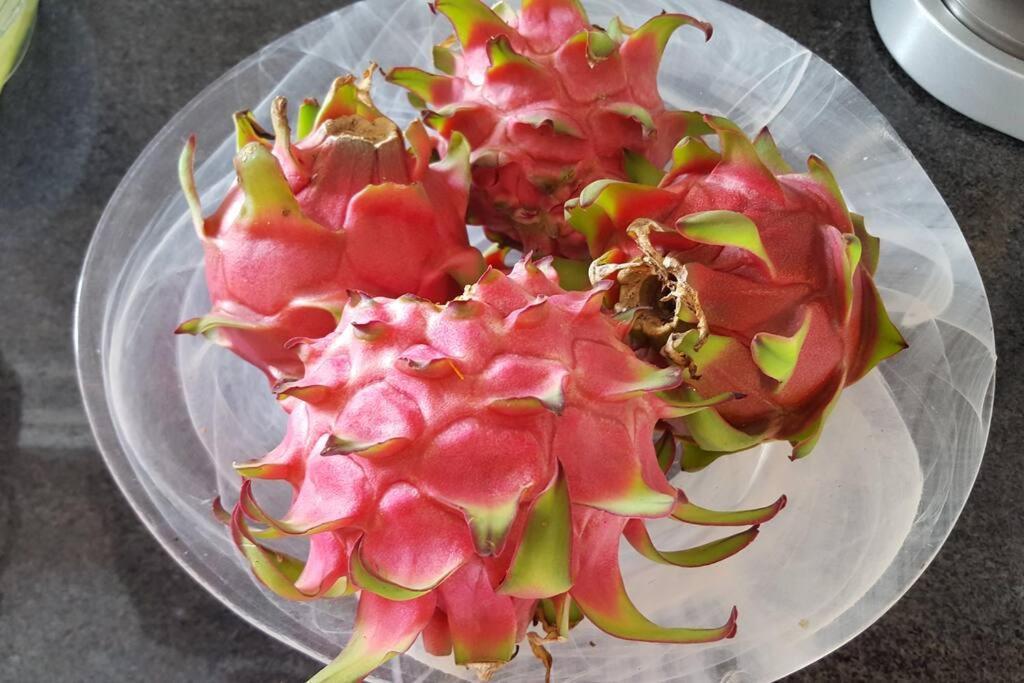 Le Pitaya Villa Baillif Luaran gambar